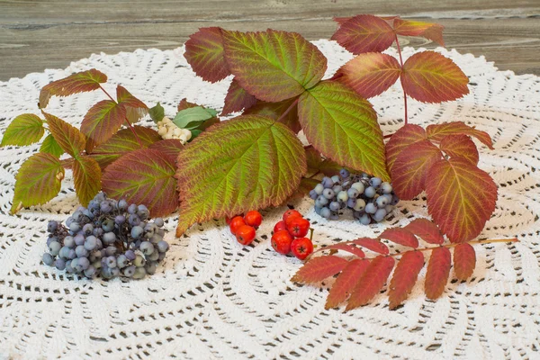Herbstkomposition. die Blätter und Beeren der gestrickten Serviette — Stockfoto