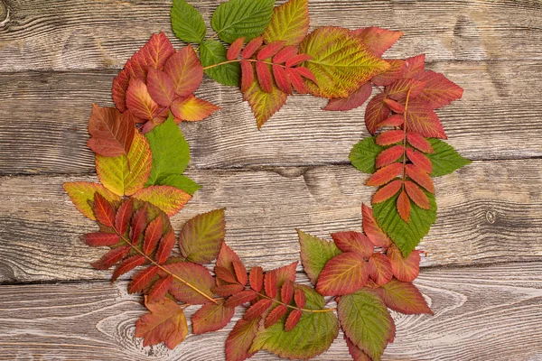 Folhas coloridas no outono em fundo de madeira. gradiente — Fotografia de Stock