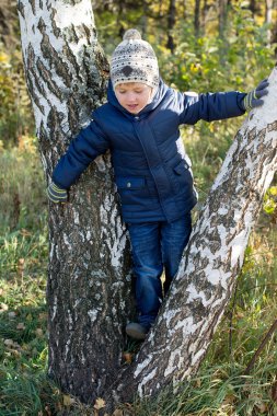 küçük çocuk bir ceket ve kap sonbahar park ağacında yukarı tırmanıyor