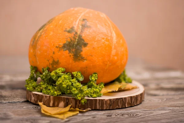 Calabaza en el corte del árbol y hojas amarillas sobre fondo de madera. Composición Halloween —  Fotos de Stock