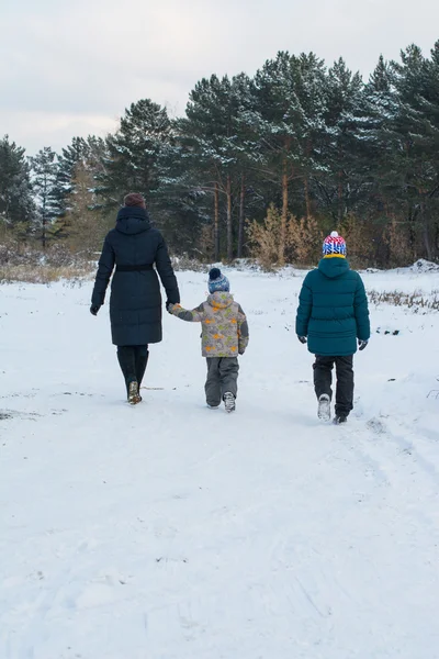 Family walks in the winter pine forest — Stock Photo, Image