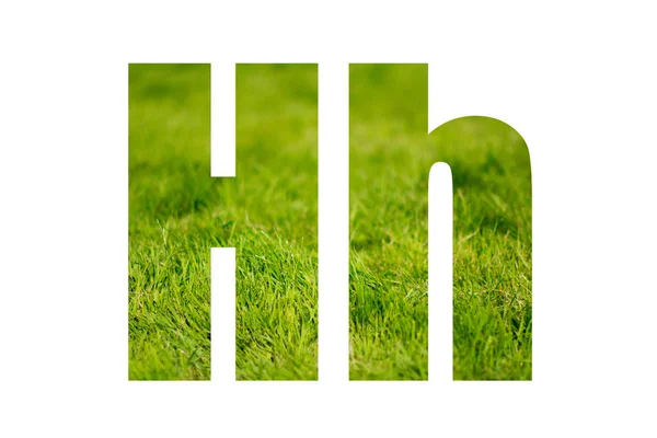 Double exposure with green grass. Letter H. Isolated on white background — Stock Photo, Image