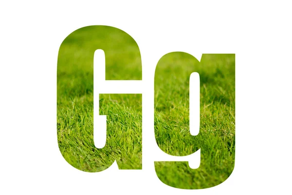 Double exposure with green grass. Letter G. Isolated on white background