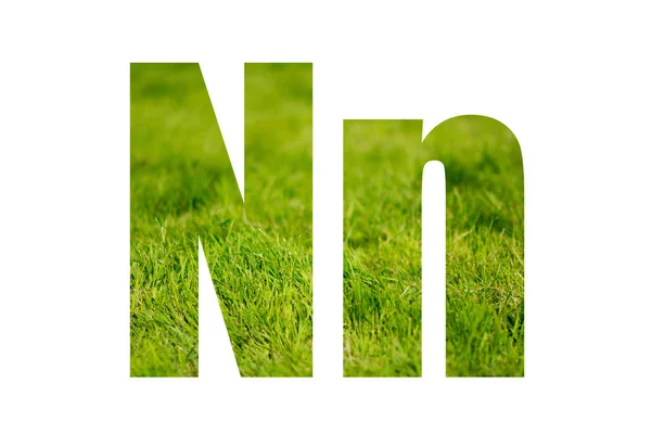 Doppelbelichtung mit grünem Gras. Buchstabe n. isoliert auf weißem Hintergrund — Stockfoto
