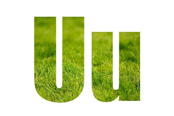 Double exposure with green grass. Letter U. Isolated on white background — Stock Photo, Image