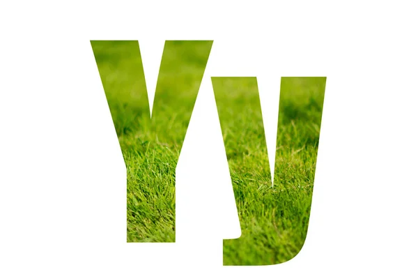 Double exposure with green grass. Letter Y. Isolated on white background — Stock Photo, Image