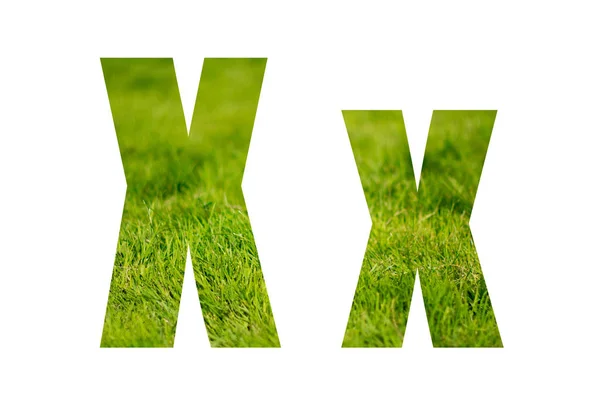 Doble exposición con hierba verde. Letra X. Aislado sobre fondo blanco — Foto de Stock