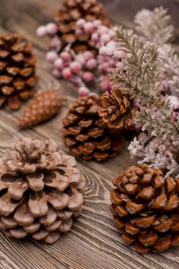 Köknar dalı karda, ahşap arka plan üzerinde koni