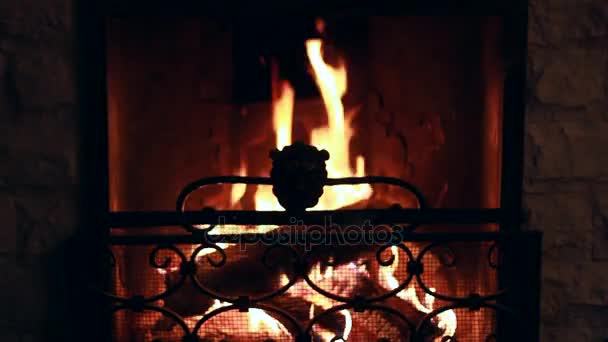 Open hearth fireplace with iron grate — Stock Video