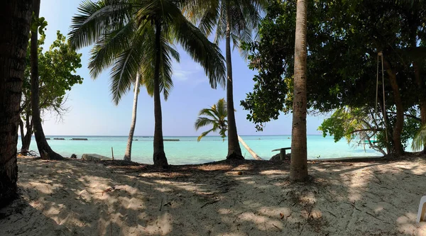 Tropiska Träd Stranden Det Blå Havet — Stockfoto