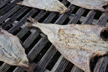 Morina balığı, ikiye bölünmüş ve ahşap bir askıda kuruyor, yatay görünüm