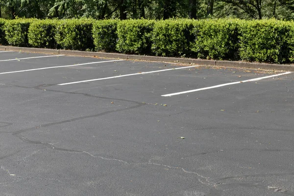 Lege Gevoerde Asfalt Parkeerplaats Omzoomd Door Struiken Bomen Horizontaal Aspect — Stockfoto