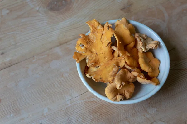Small bowl of chanterelle mushrooms, seasonal gourmet food ingredient, copy space, horizontal aspect