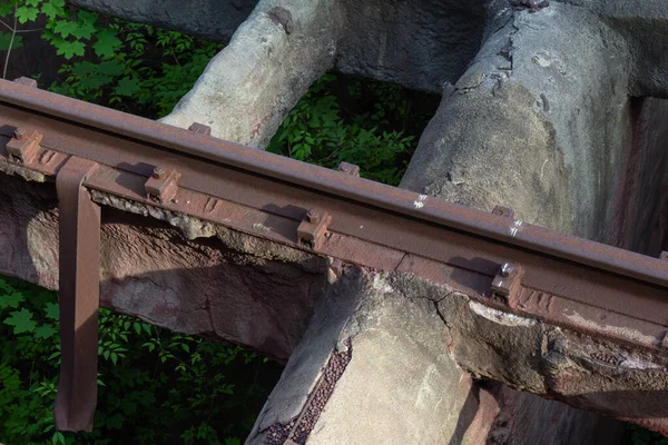 Bäume Die Unter Einem Hochbahngleis Wachsen Horizontaler Aspekt — Stockfoto