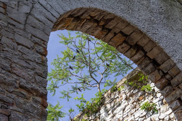 Taş duvar manzaralı açık taş kemer yolu, siyah kuşlarla dolu ağaç, yatay görünüm