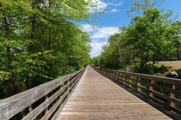 Lange Sicht Auf Einen Öffentlich Zugänglichen Erhöhten Promenadenweg Durch Wald — Stockfoto