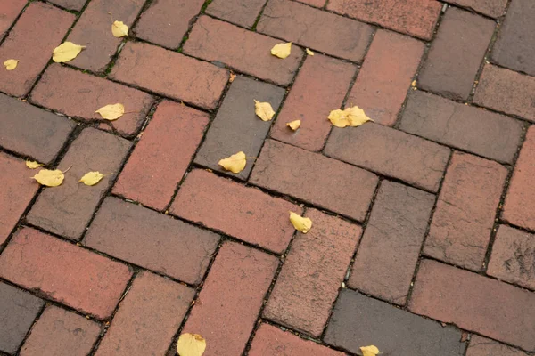 古い赤レンガの地面カバーの近くのビュー Herringboneパターン 黄色の秋の葉 水平方向の側面 — ストック写真