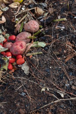 Çamur, fotokopi alanı ve yatay görünüm üzerine karışık mutfak artıkları ve organik madde