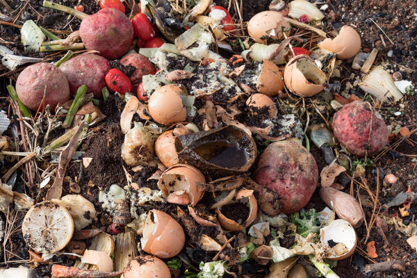 Compost heap of decaying kitchen fruit and vegetable scraps, horizontal aspect