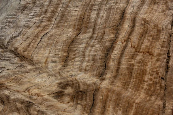 Wavy woodgrain, cut wood log with unusual grain, horizontal aspect