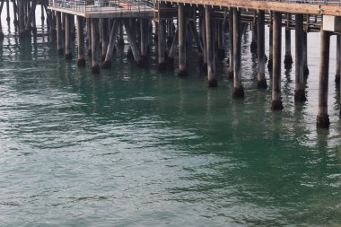 Odun iskelesi yeşil okyanus suyunda midyelerle destekleniyor, Santa Monica CA, yatay görünüm