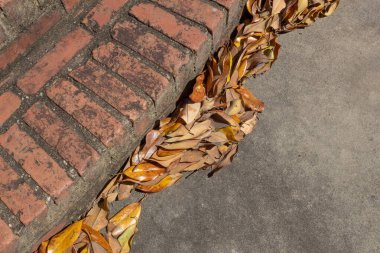Sarı manolya yaprakları eski tuğla merdivenlerin dibinde, kirli beton temizlenmesi gerekiyor, yatay görünüm