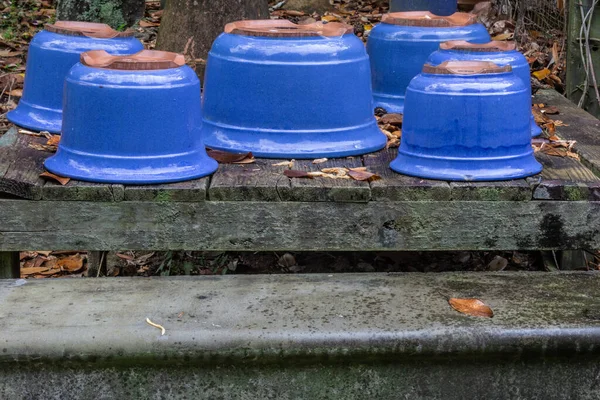 蓝色釉瓷罐周围落叶 复制空间 水平面 — 图库照片