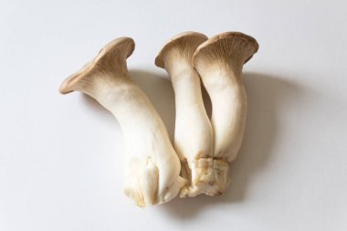 Pleurotus eryngii Kral Trompet Mantarları, beyaz, merkezli, yatay açıdan izole