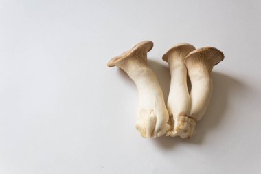Pleurotus eryngii Kral Trompet Mantarları 'nın yan görünüşü, beyaz, sağa hizalanmış, yatay görünüm