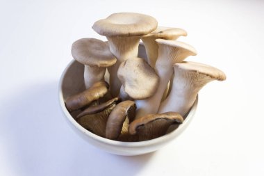 Küçük beyaz Pleurotus eryngii kral trompet mantarları ve pleurotus ostreatus istiridye mantarları, beyaz, besin maddeleri, yatay görünüm
