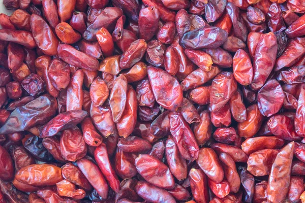 Röd Bakgrund Torkad Fågel Paprika Capsicum Annuum Pequin Peppar Piquin — Stockfoto