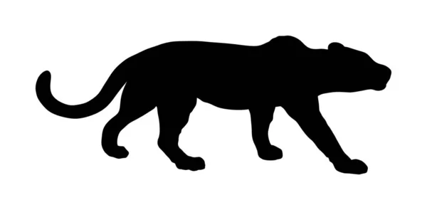 在白色背景上分离的豹矢量轮廓 野猫在猎食中潜伏着祈祷 美洲狮或美洲狮的象征 沉默的掠食者 动物园公园里的吸引物 — 图库矢量图片