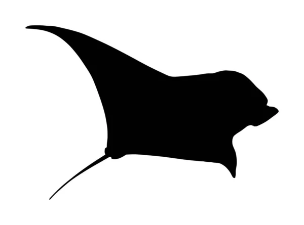 Stachelrochen Oder Manta Rochen Symbol Teufelsfisch Vektor Silhouette Illustration Isoliert — Stockvektor