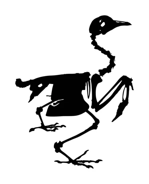 Silhouette Vectorielle Squelette Oiseau Isolée Sur Fond Blanc Anatomie Animale — Image vectorielle