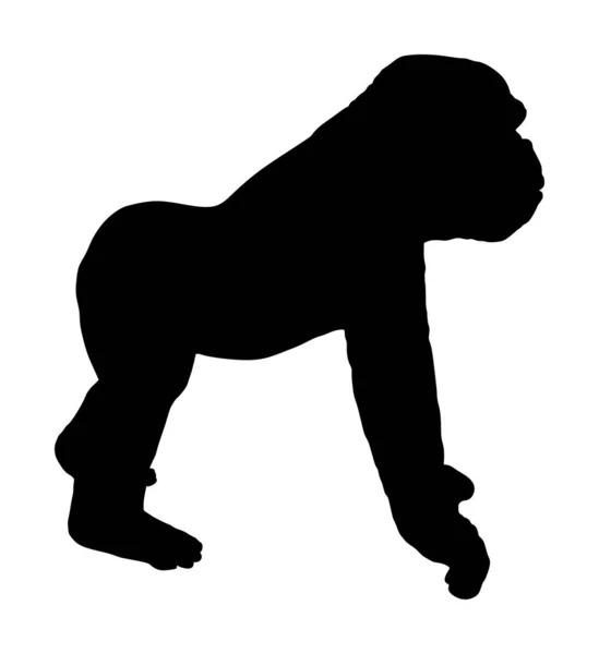 Gorilla Vector Silhouette Isolated White Background Big Monkey Symbol Wild — 스톡 벡터