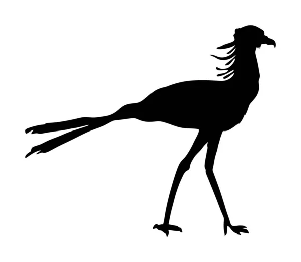 Secrétaire Oiseau Vecteur Silhouette Illustration Isolée Sur Fond Blanc Sagittaire — Image vectorielle