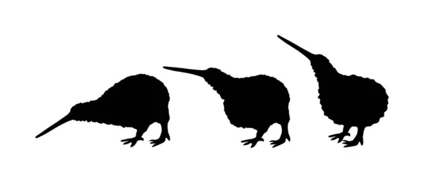 Silhouette Vectorielle Oiseau Kiwi Brun Isolée Sur Fond Blanc Apteryx — Image vectorielle