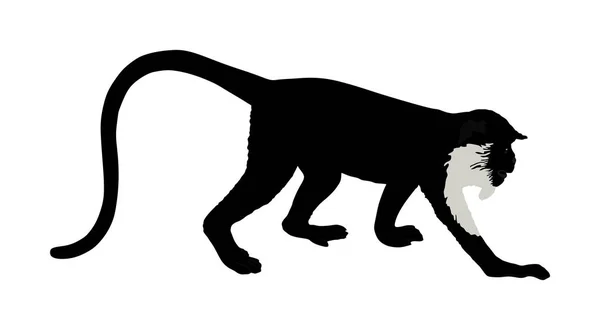 在白色背景上分离的猴子病毒载体 红壳杜克 Pygathrix Nemaeus 黄脸申欣命名为狐猴 — 图库矢量图片