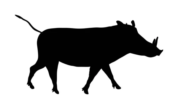 Warthog Vector Silhouet Illustratie Geïsoleerd Witte Achtergrond Bushvarken Wild Zwijn — Stockvector