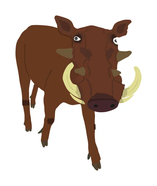 Ilustración Vectorial Warthog Aislada Sobre Fondo Blanco Bush Pig Símbolo — Archivo Imágenes Vectoriales