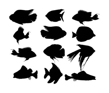  Akvaryum egzotik balık siluet vektör koleksiyonu, su altında. Oscar balığı beyaz arka planda izole edilmiş. Mercan resifi Balık burcu. Renkli balıklar. Zebrasoma sarı etiketi, melek balığı, kırmızı papağan, palyaço.