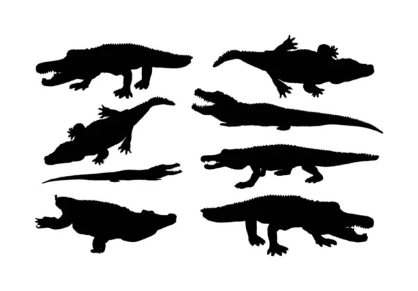 白色背景上的鳄鱼矢量轮廓 鳄鱼的轮廓 开曼剪影 鳄鱼的轮廓 饥饿的强壮动物 — 图库矢量图片