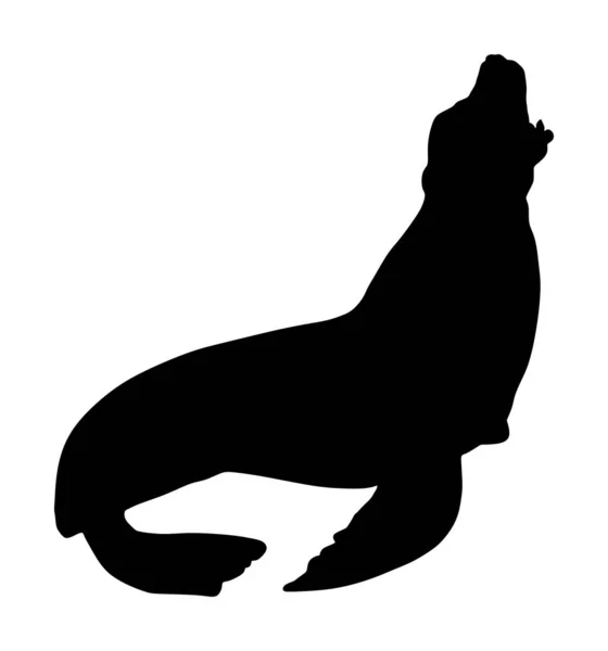 Иллюстрация Силуэта Морского Льва Изолирована Белом Фоне Силуэт Уплотнения — стоковый вектор