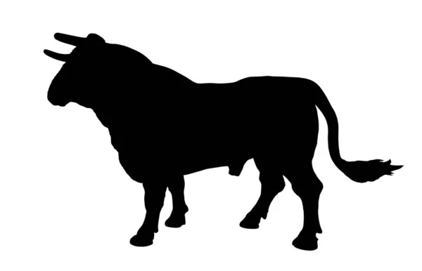 白い背景に隔離された大人の雄牛のベクトルシルエットイラストを立って 繁殖雄牛 受精のための質の高い遺伝物質です 有機食品 闘牛のための強力な動物スペイン Corrida — ストックベクタ