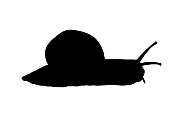 Snigel Vektor Siluett Illustration Isolerad Vit Bakgrund Djursymbol Blötdjur Med — Stock vektor