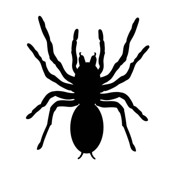 Μεγαλύτερο Σύμβολο Αράχνης Ταραντούλα Διανυσματική Σιλουέτα Απομονωμένη Λευκό Φόντο Αραχνοφοβία — Διανυσματικό Αρχείο