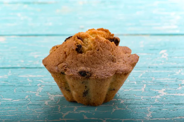 Cupcake com passas em fundo azul — Fotografia de Stock