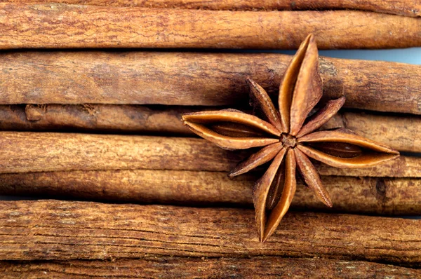 Palitos de canela y anís estrellado — Foto de Stock