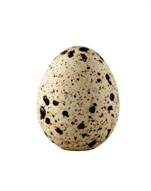 Beyaz arka planda bir bıldırcın yumurtası.