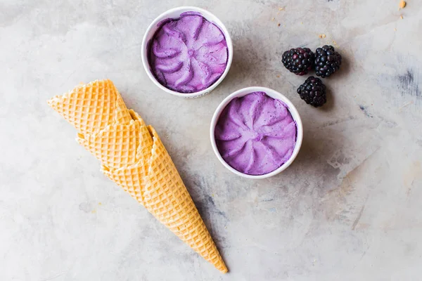 Vegan berry blackberry dondurma